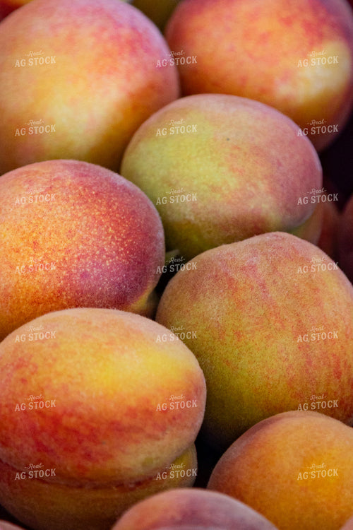 Peaches 276079