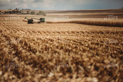 Combine Unloading Corn onto Auger Wagon 3318
