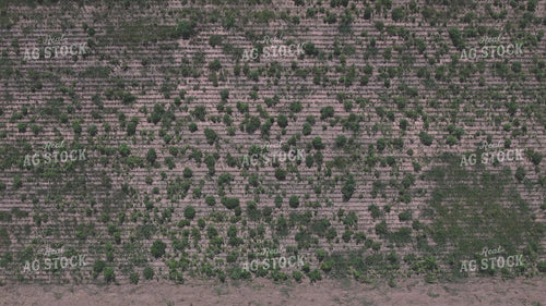 Vertical Tillage 239395