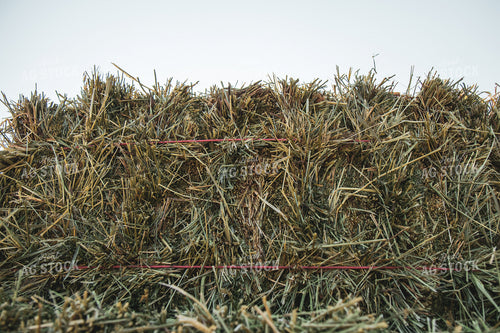 Square Bale 67865