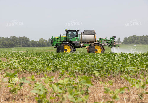 Spraying Cotton 79751