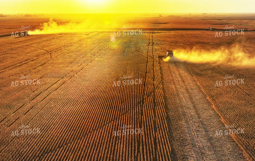 Soybean Harvest 141471