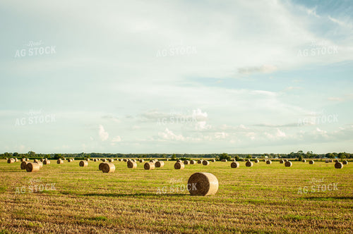 Round Hay Bale Landscape 59001