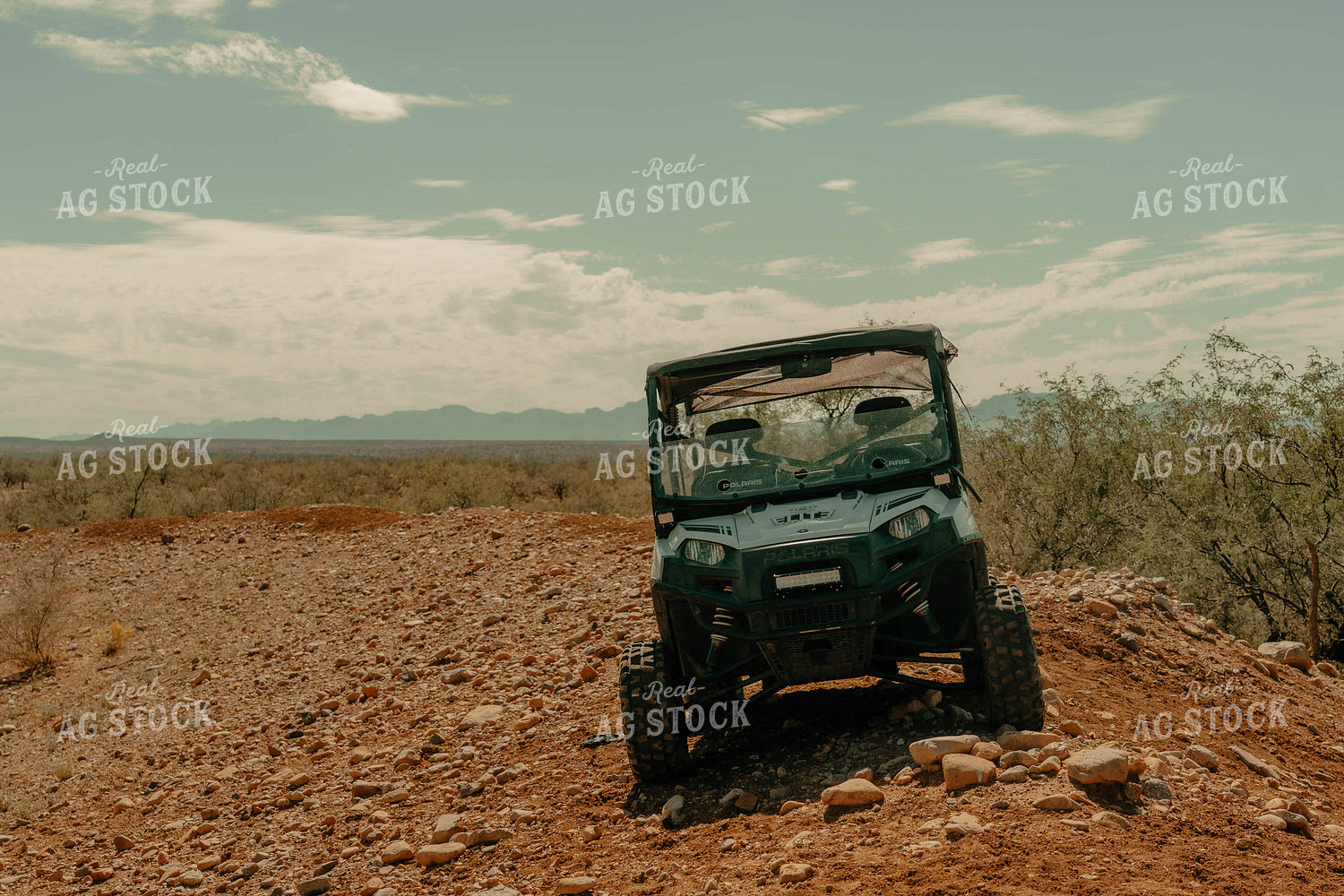 ATV in Desert 58314