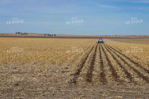 Fertilizer 156037