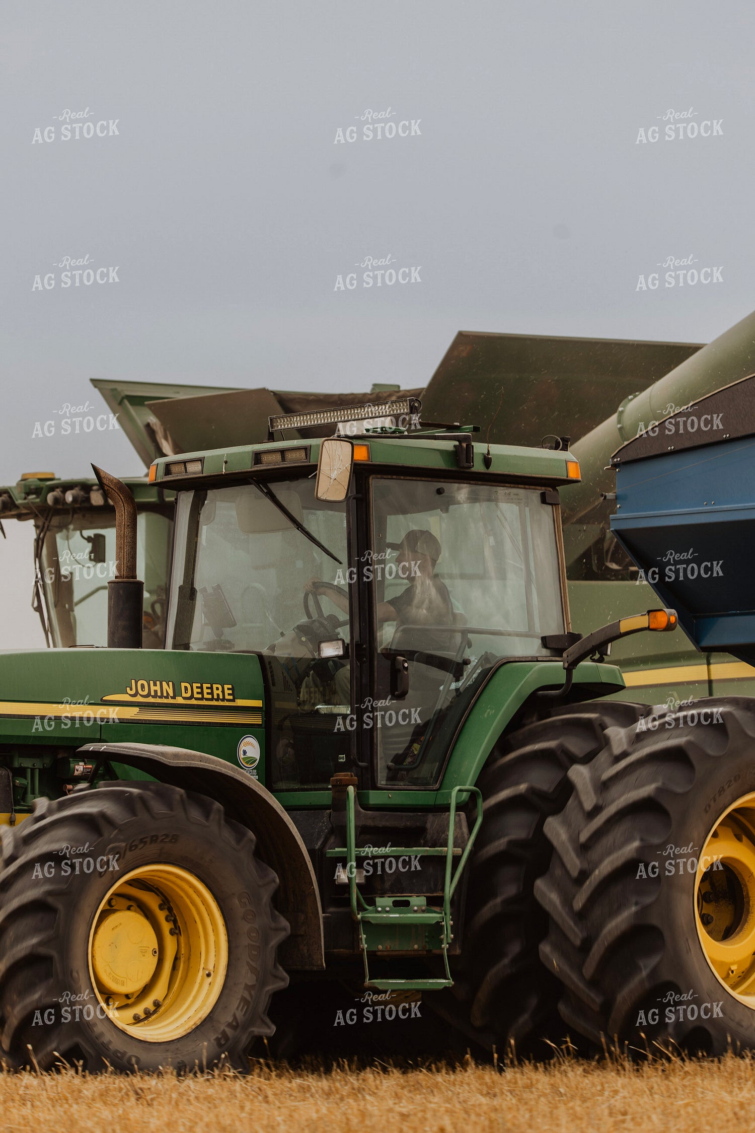 Canola Harvest 187238