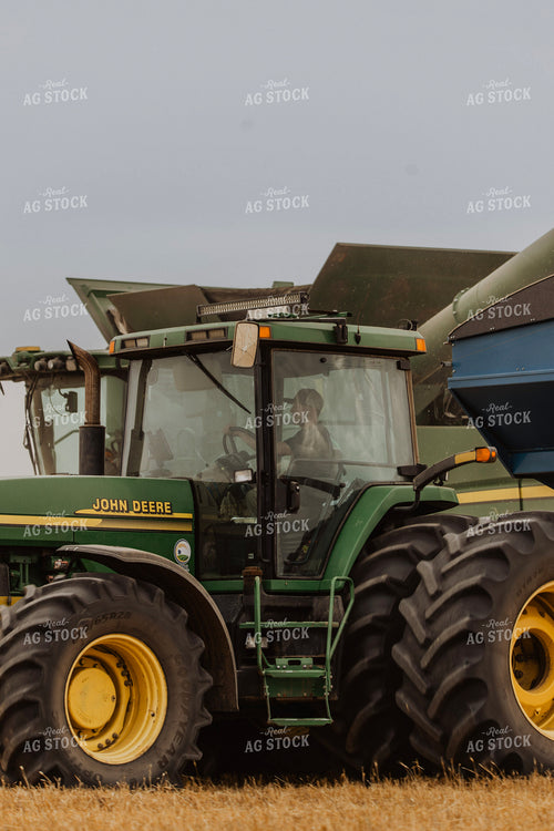 Canola Harvest 187238