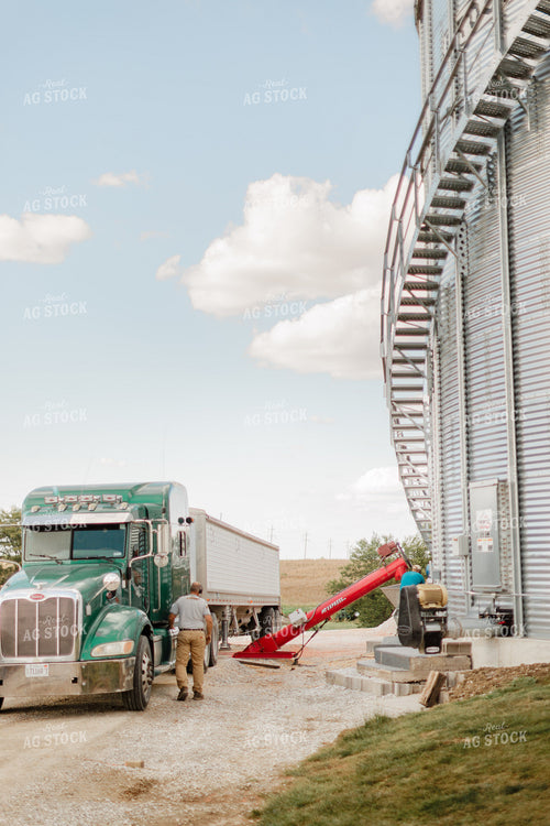 Farmer Unloading Corn 9355