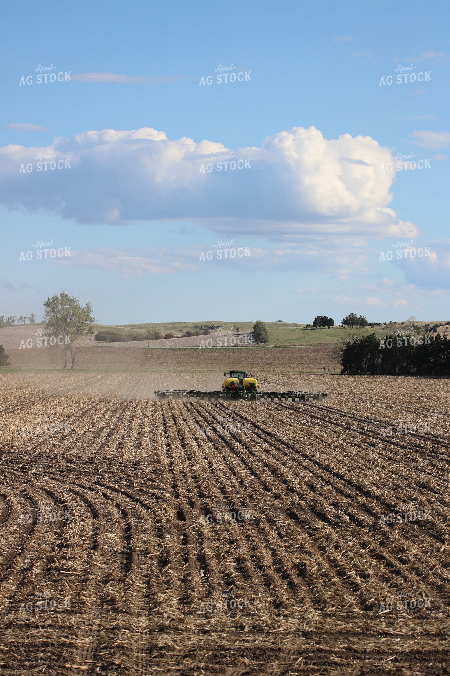 Planting 82238
