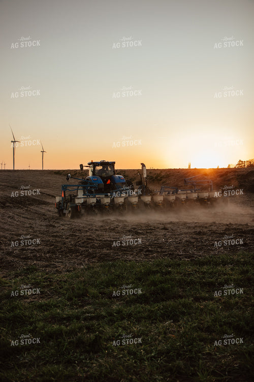 Planting 67713