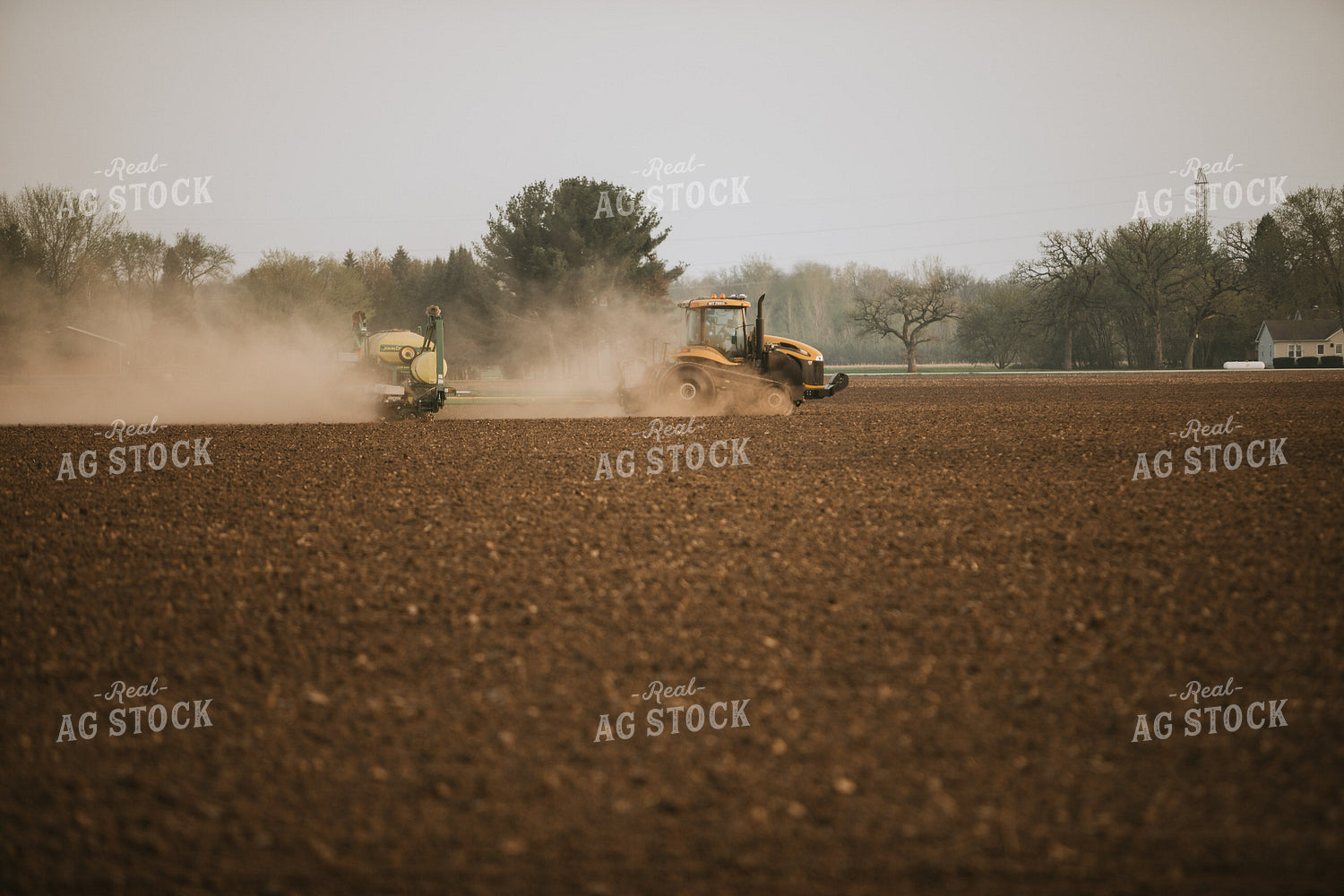 Planter in Field 5625
