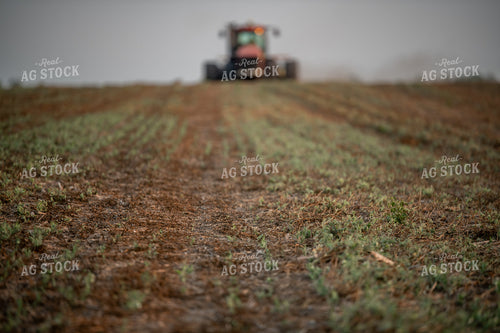 Planting into Cover Crops 76426