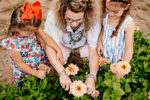 Picking Flowers 218056