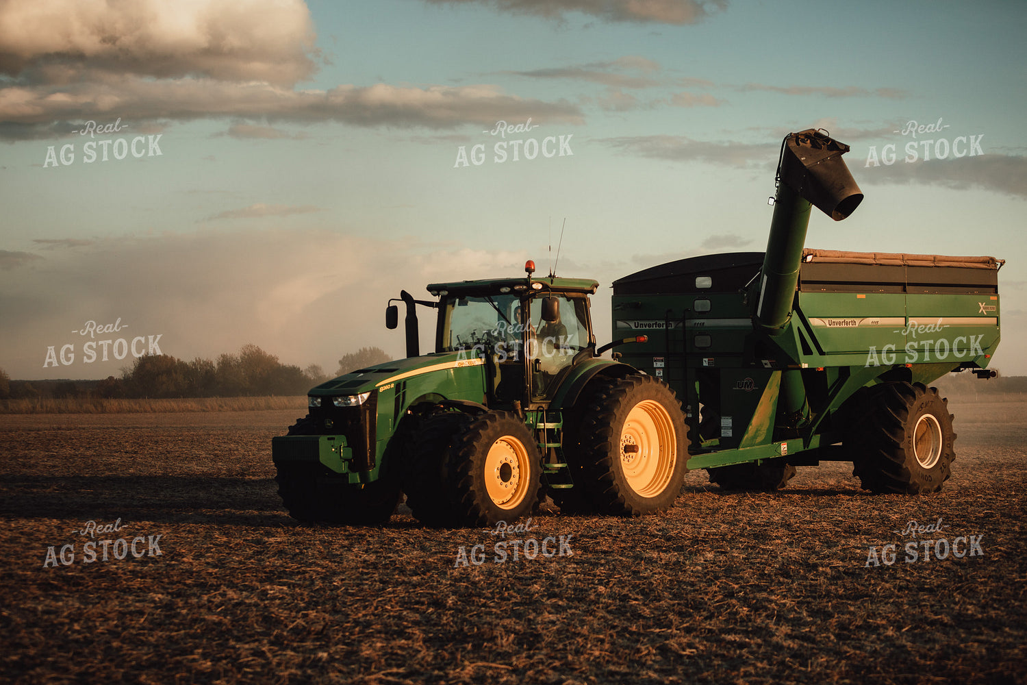 Auger Wagon in Soybean Field at Sunset 3446