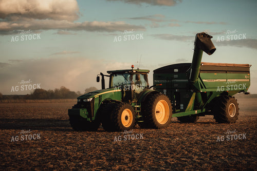 Auger Wagon in Soybean Field at Sunset 3446