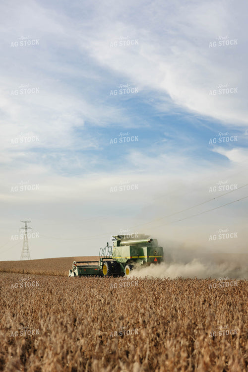 Soybean Harvest 152621