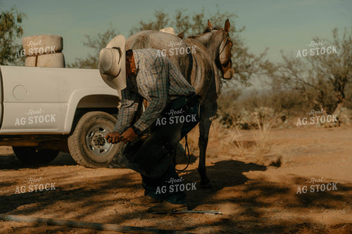 Shoeing Horse 58323