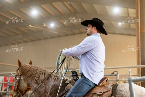 Roping Cattle 205167