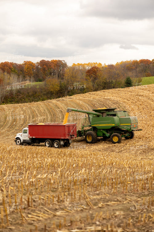 Corn Harvest 194085