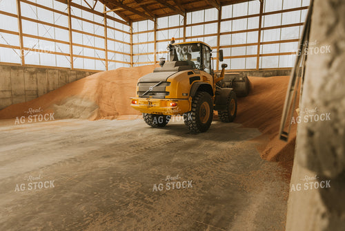 Tractor Loads Dry Feed in Storage Shed 7539