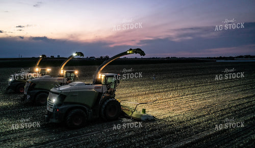 Silage Harvest at Night Drone 56210