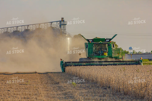 Soybean Harvest 291122