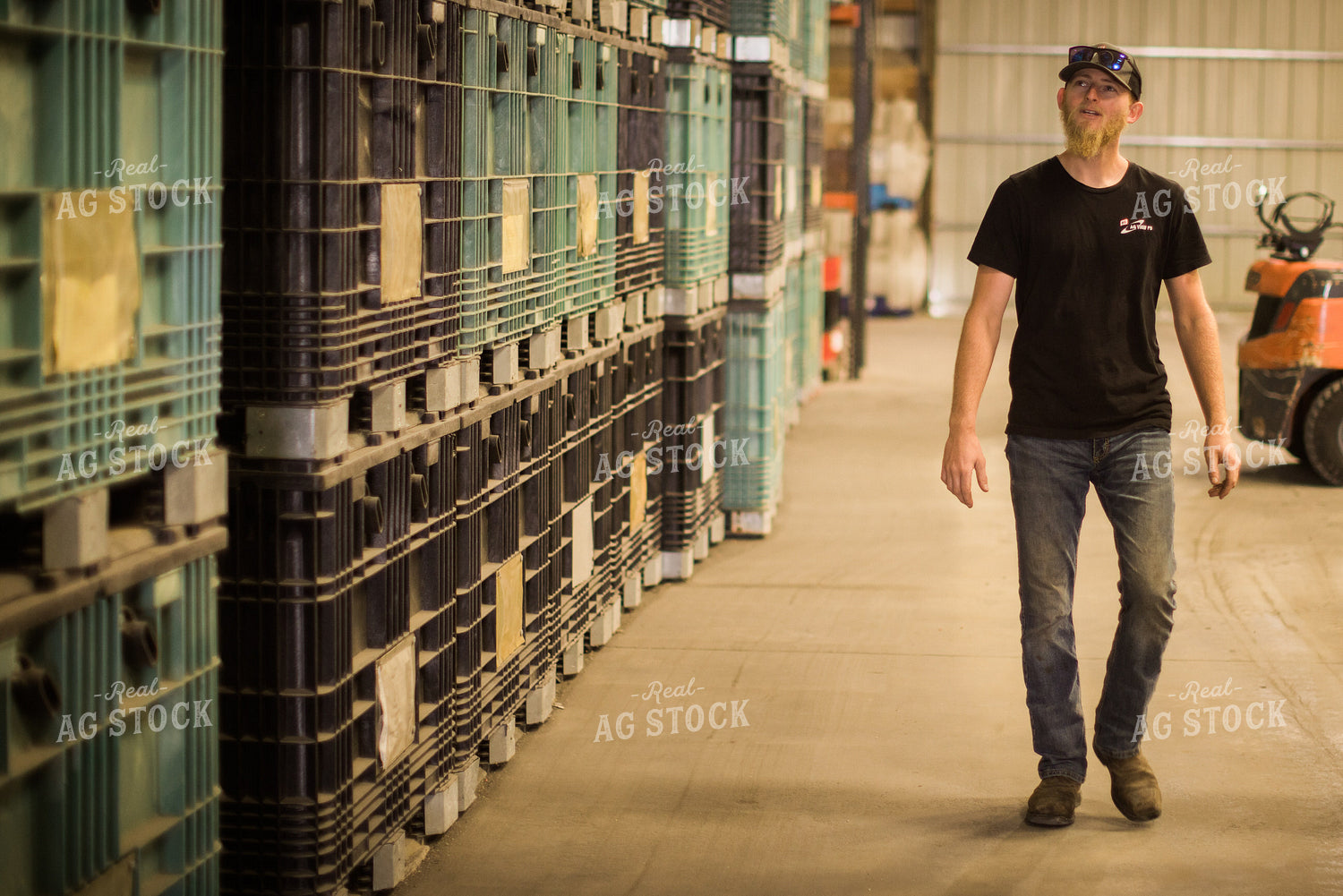 Salesman in Seed Storage Shed 7984