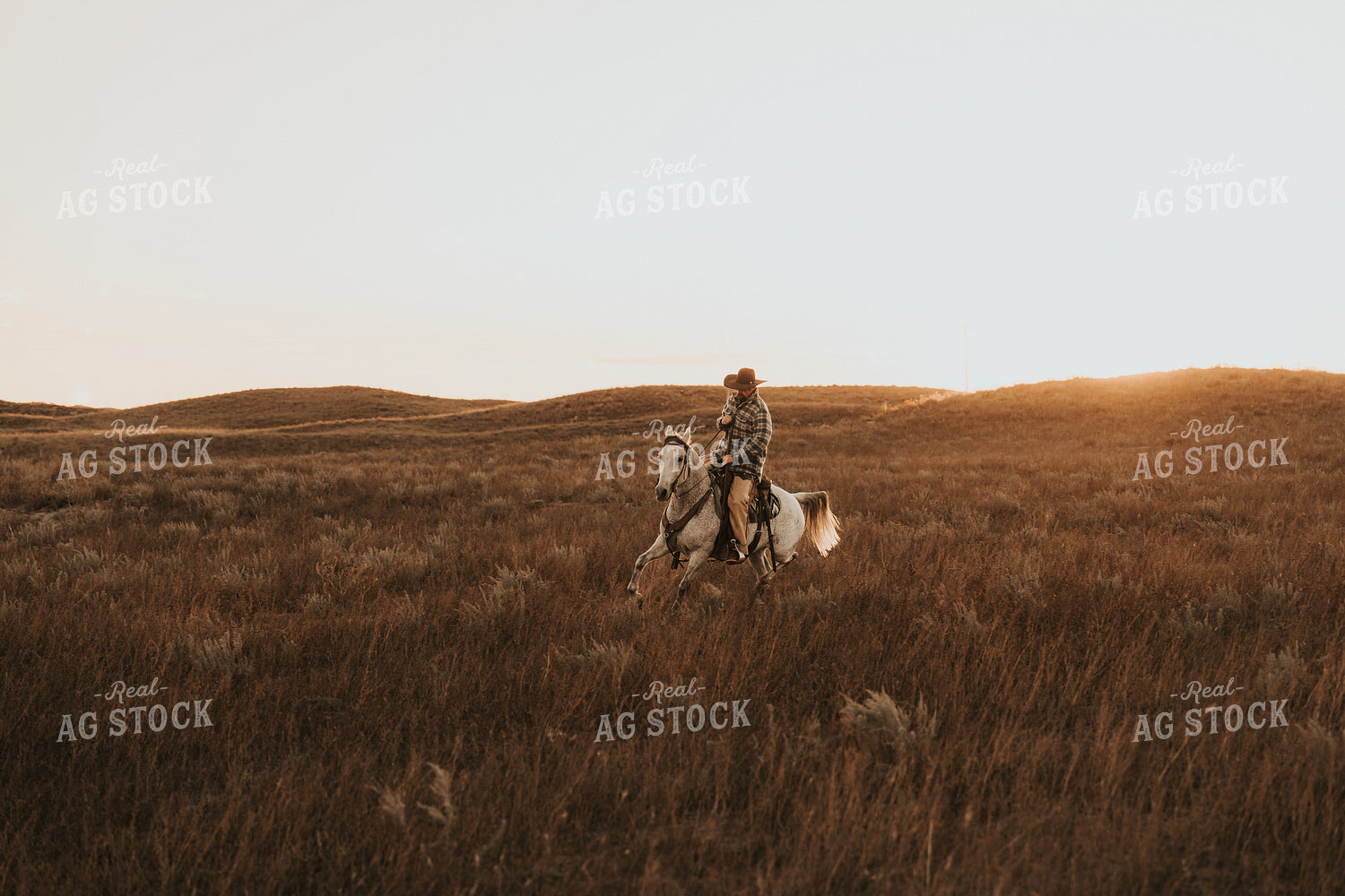 Cowboy Riding Horse 61203