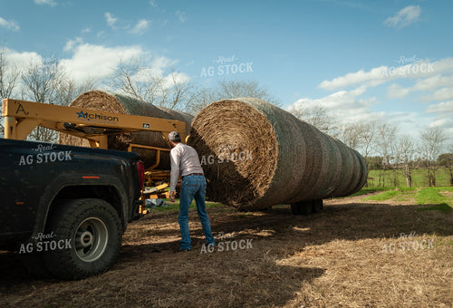 Loading Hay Bales onto Trailer 59077
