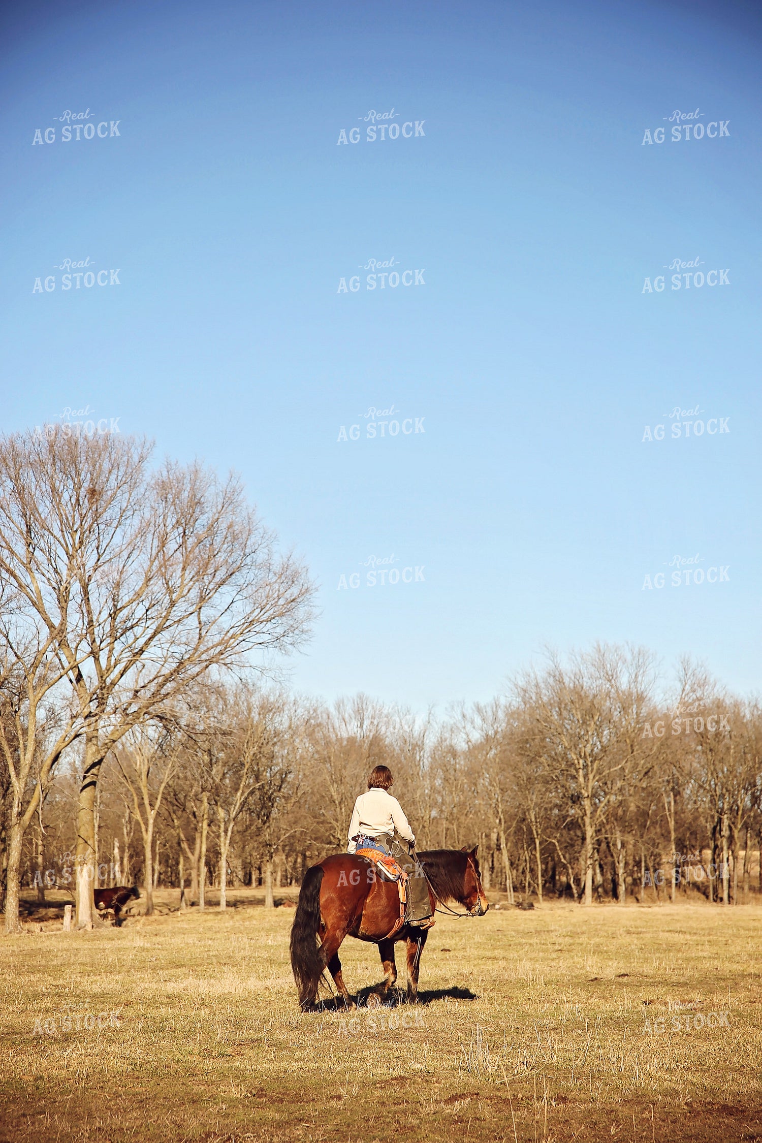 Female Rancher on Horseback 127073