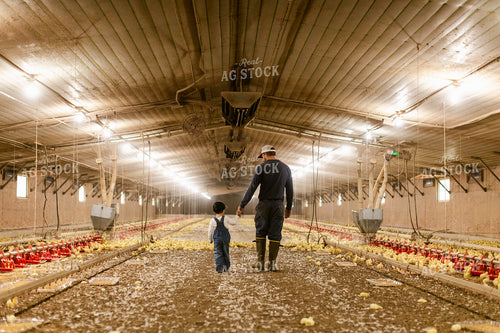 Farmer and Son in Chicken Barn 280004