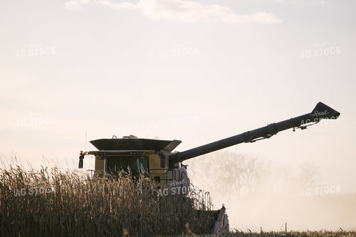 Nebraska Corn Harvest 70026