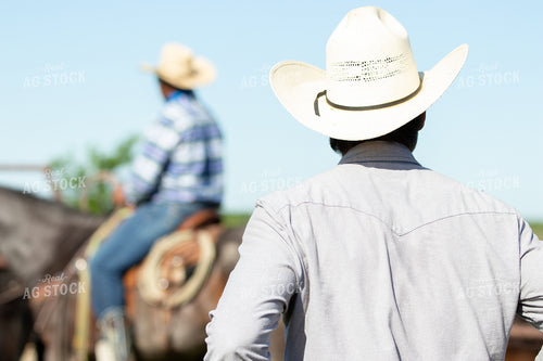 Rancher 175000