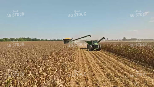 Corn Harvest 92080