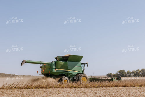 Soybean Harvest 77065