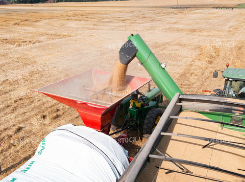 Soybean Harvest Flat Storage 79322