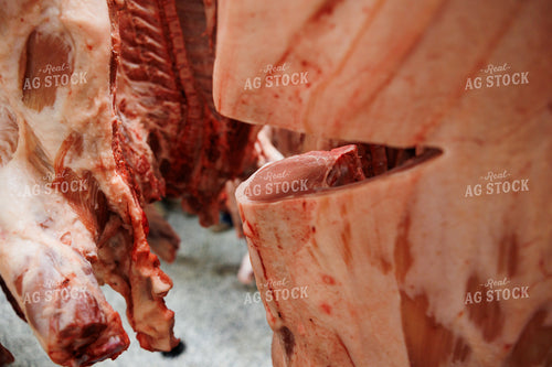 Pork Carcass 52855