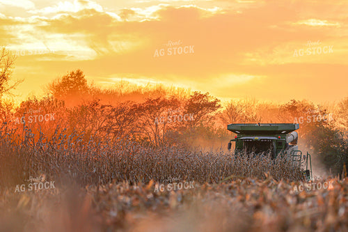 Corn Harvest at Sunset 160377