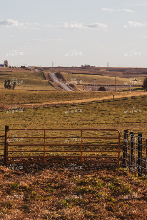 Rural Landscape with Pasture and Rural Road 67021