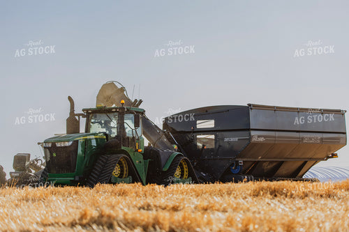 Wheat Harvest 187296