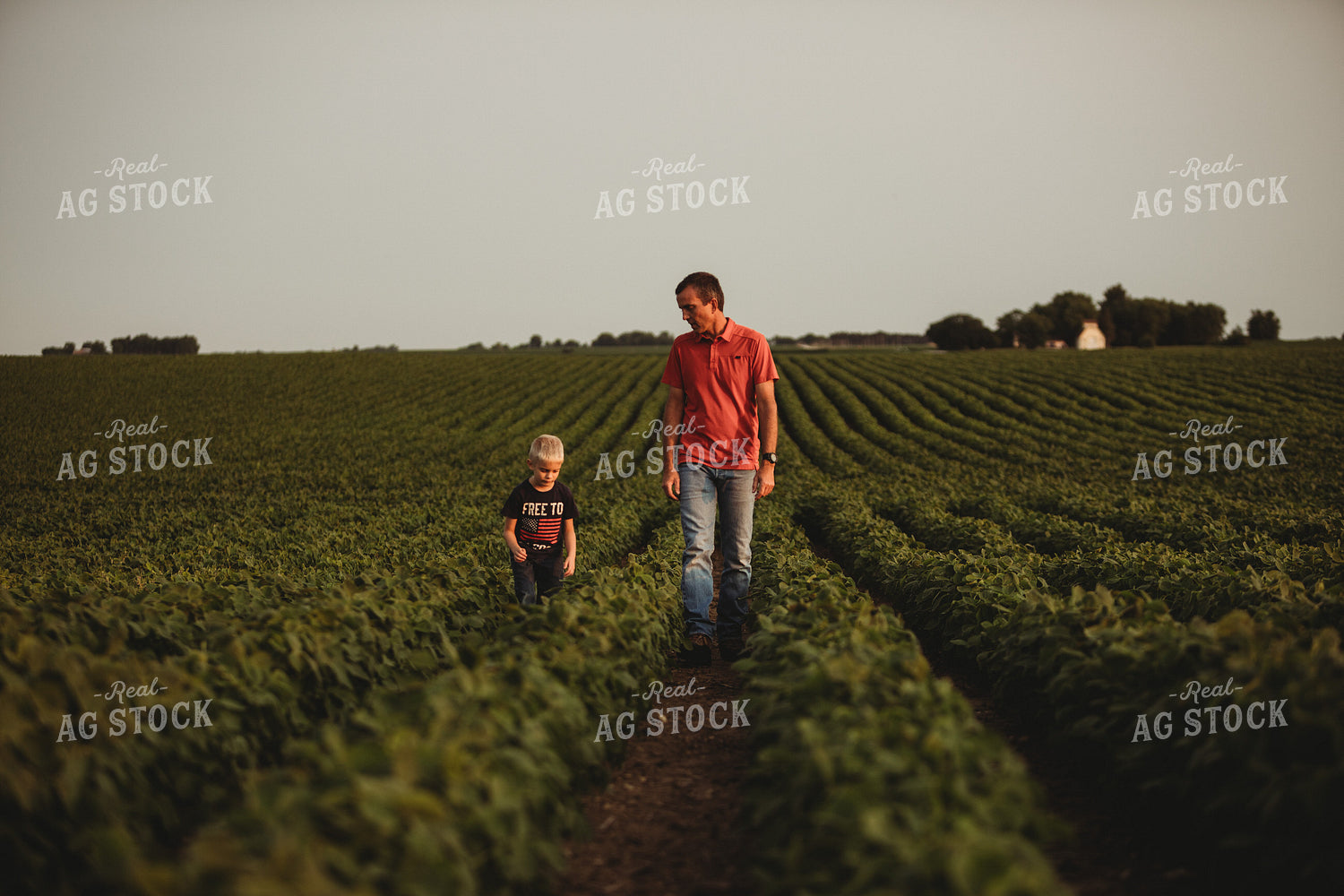 Farmer and Farm Kid Checking Crops in Soybean Field 4597
