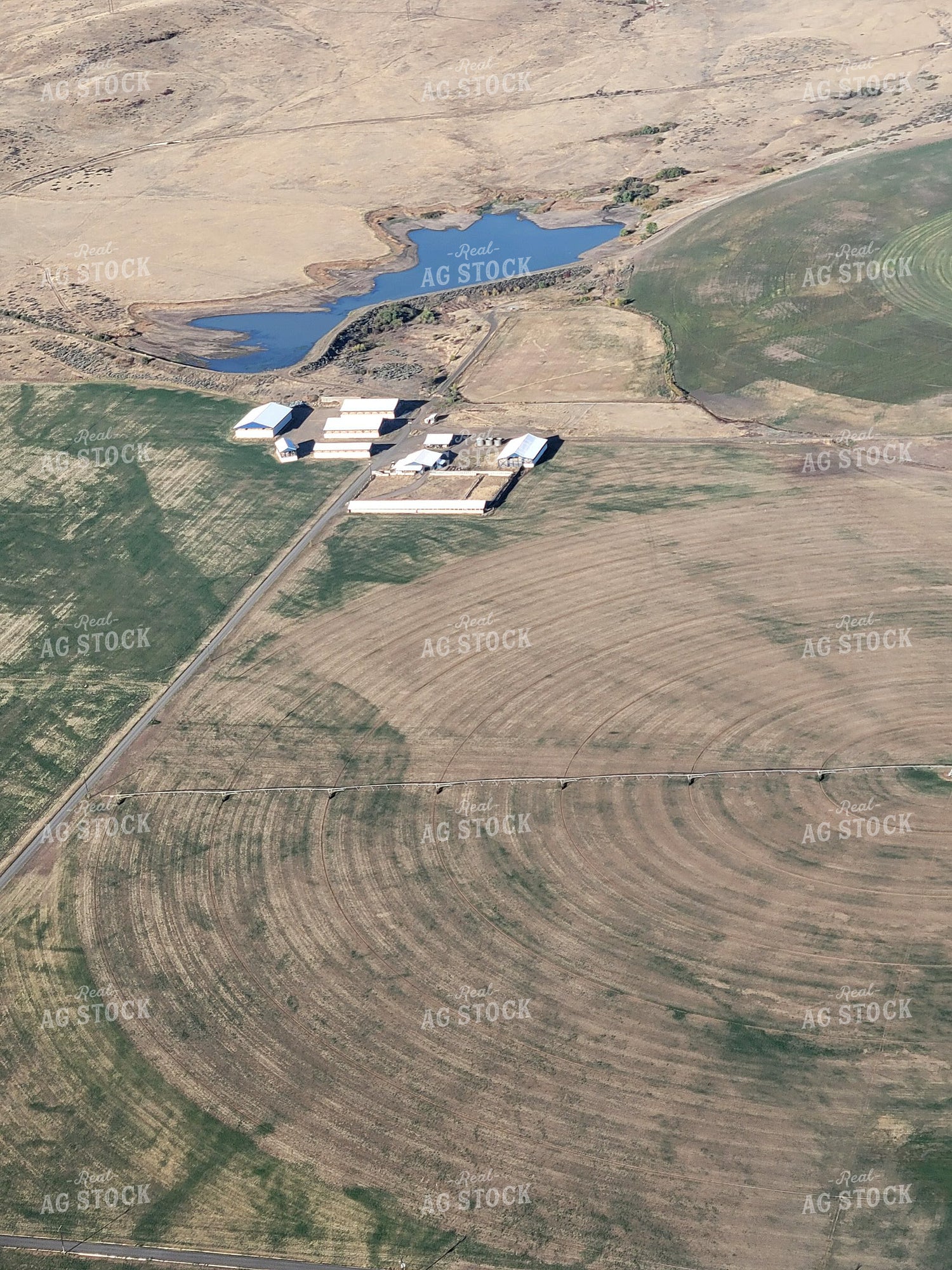 Aerial of Farmland and Barns 122017