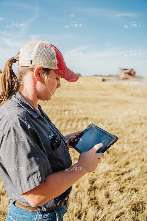 Female Farmer Using Tablet in Field 115227