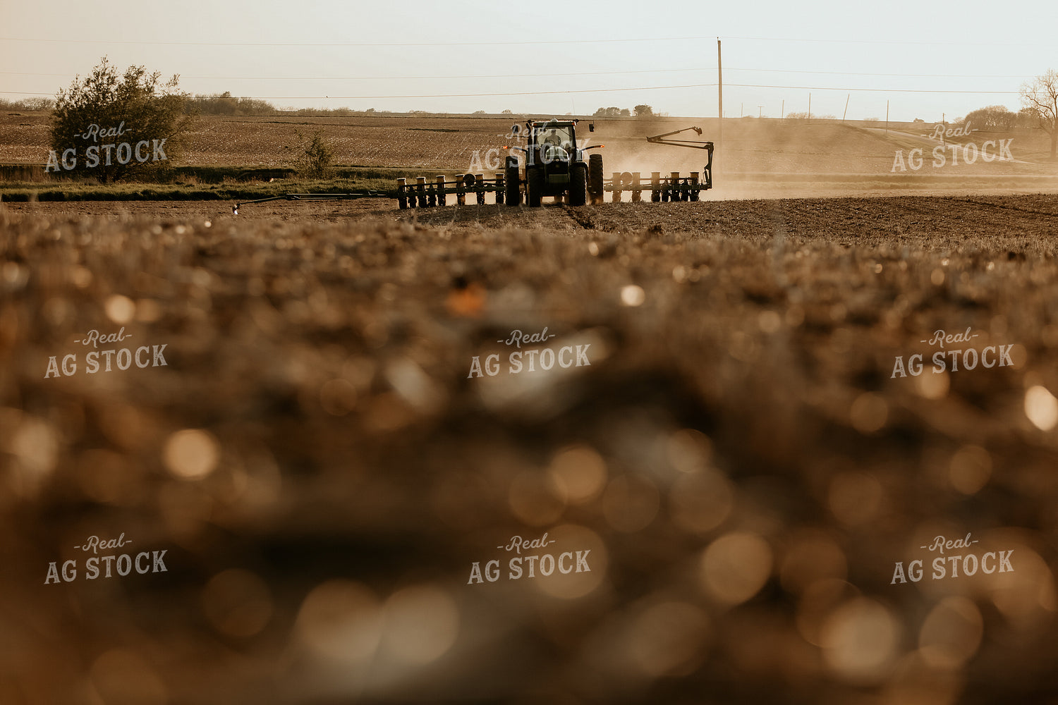 Planting 2862