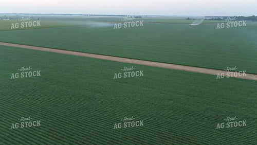 Crop Duster Spraying 80042