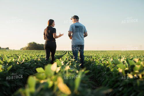 Agronomist and Farmer Scouting Soybean Field 6113