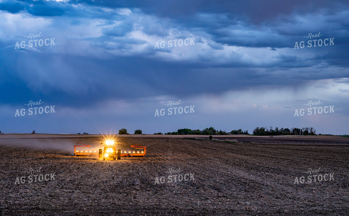 Planting 302045