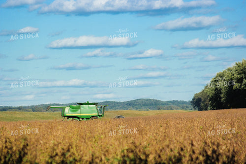 Soybean Harvest 159002