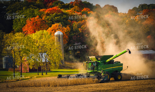 Soybean Harvest 153027