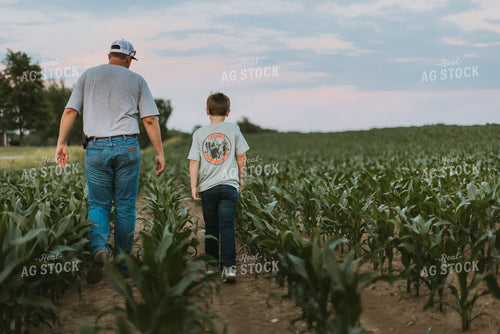 Farmer and Son Scouting Corn Field 7826